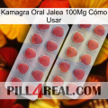 Kamagra Oral Jalea 100Mg Cómo Usar 19